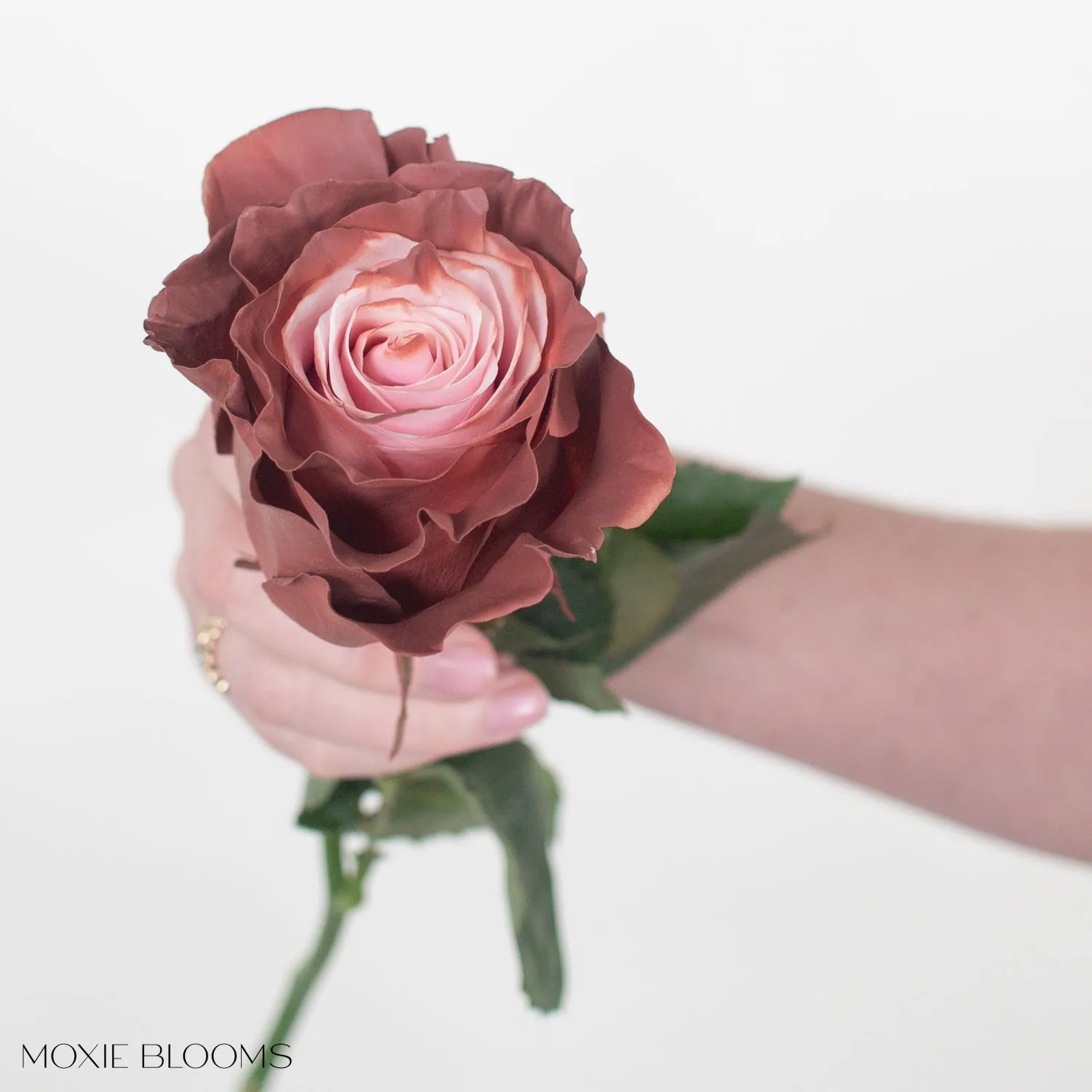 Dipped Berry Novelty Roses