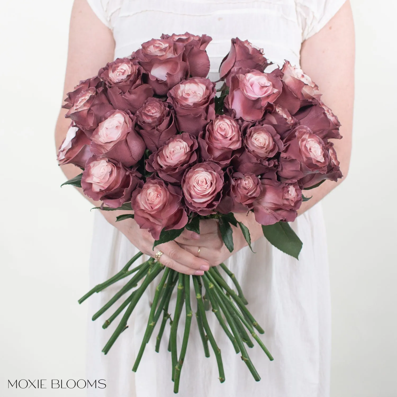 Sweet Plum Novelty Roses